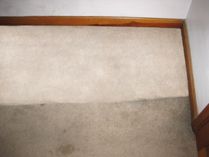 Living Room Carpet Before and After